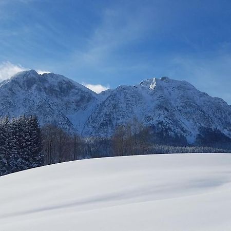 'Dasbergblick' Altaussee Luaran gambar