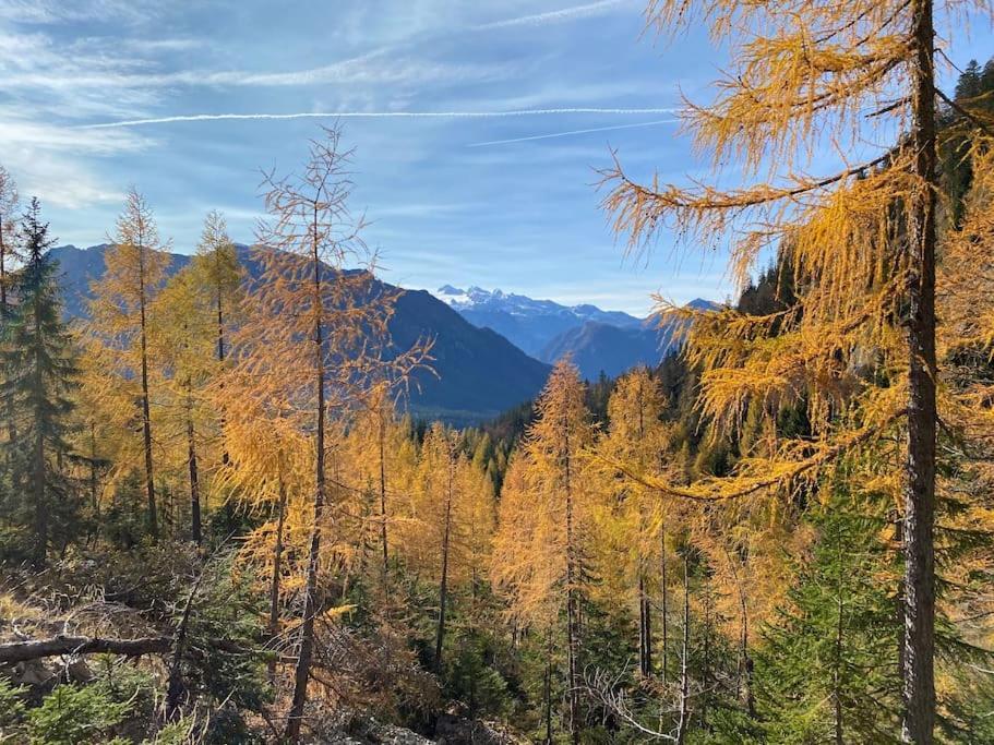 'Dasbergblick' Altaussee Luaran gambar